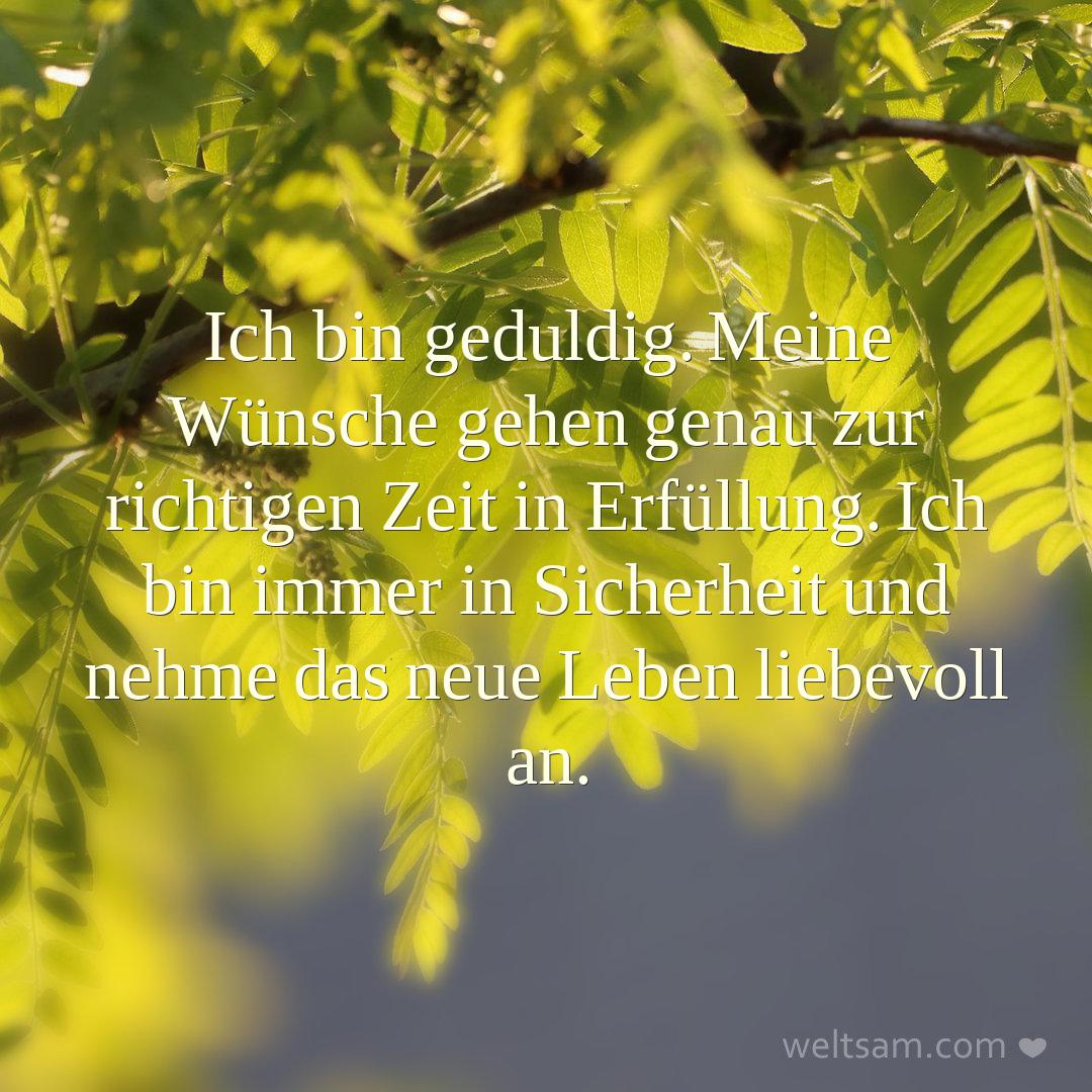 Ich bin geduldig. Meine Wünsche gehen genau zur richtigen Zeit in Erfüllung. Ich bin immer in Sicherheit und nehme das neue Leben liebevoll an.