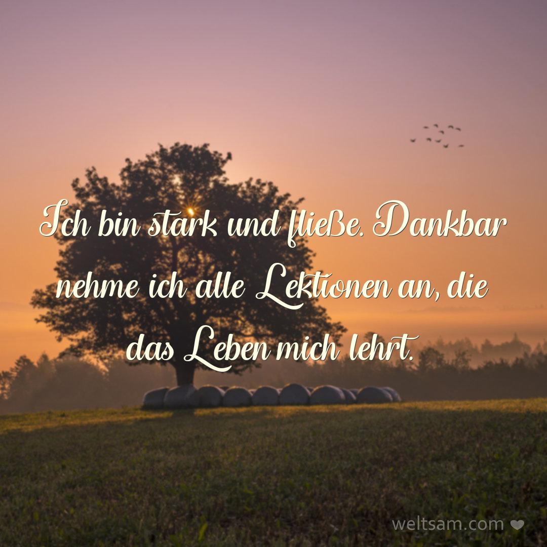 Ich bin stark und fließe. Dankbar nehme ich alle Lektionen an, die das Leben mich lehrt.