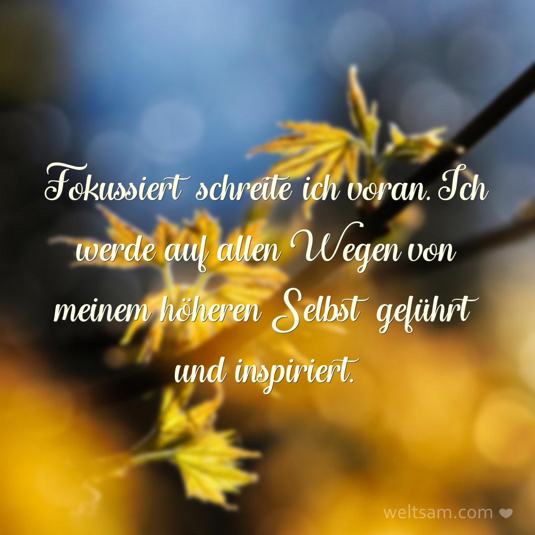 Fokussiert schreite ich voran. Ich werde auf allen Wegen von meinem höheren Selbst geführt und inspiriert.