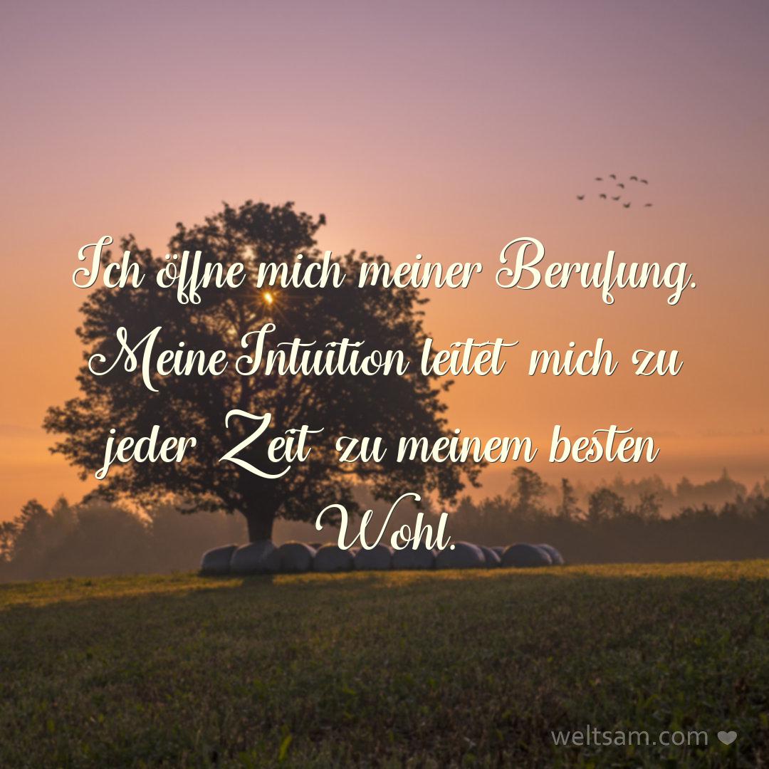 Ich öffne mich meiner Berufung. Meine Intuition leitet mich zu jeder Zeit zu meinem besten Wohl.