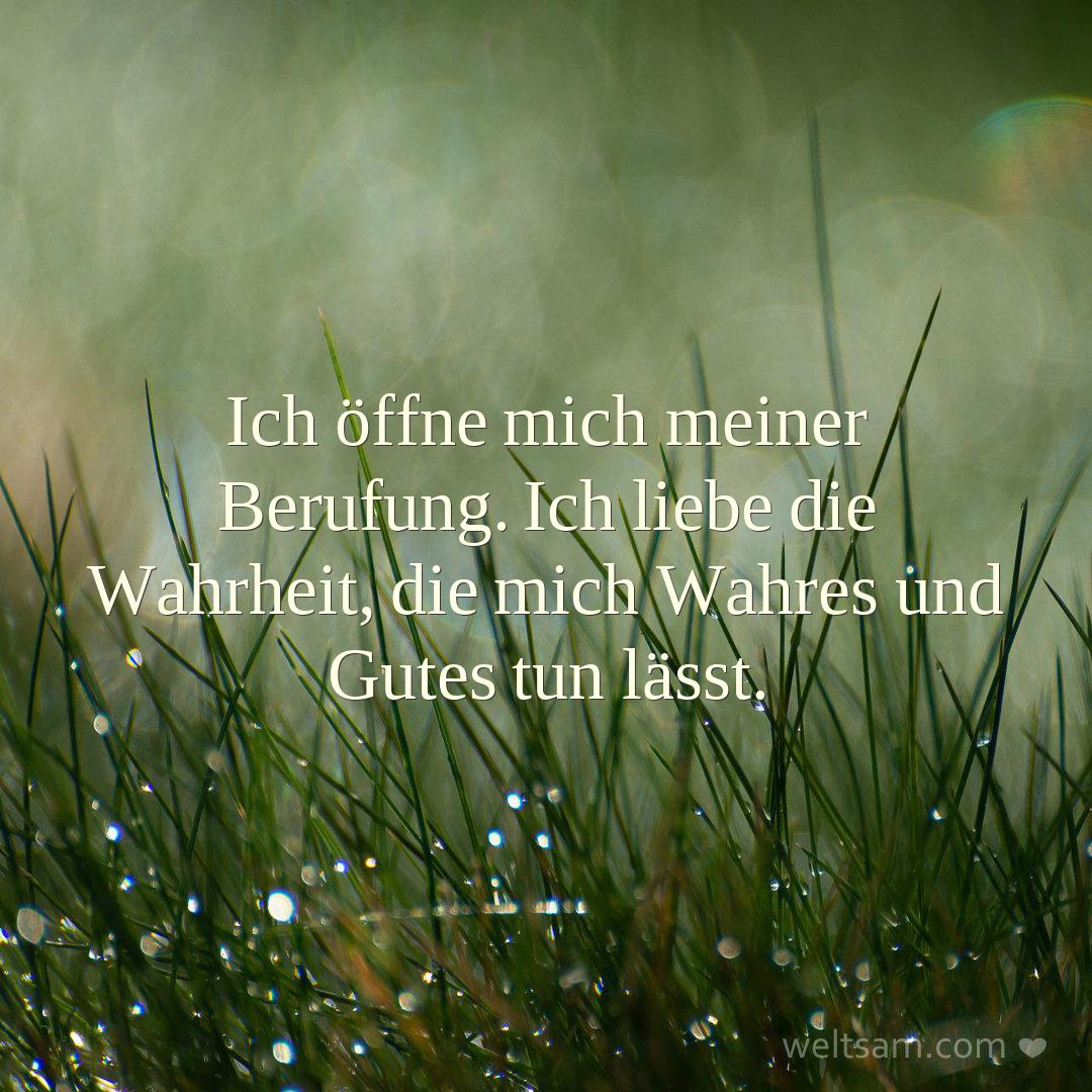 Ich öffne mich meiner Berufung. Ich liebe die Wahrheit, die mich Wahres und Gutes tun lässt.