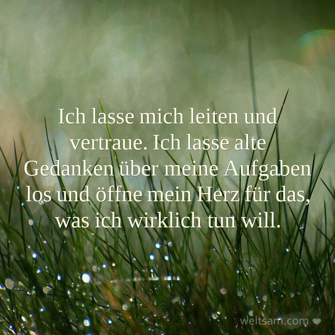 Ich lasse mich leiten und vertraue. Ich lasse alte Gedanken über meine Aufgaben los und öffne mein Herz für das, was ich wirklich tun will.