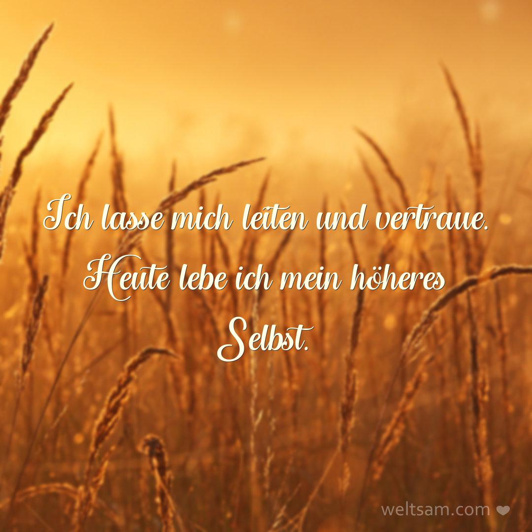 Ich lasse mich leiten und vertraue. Heute lebe ich mein höheres Selbst.
