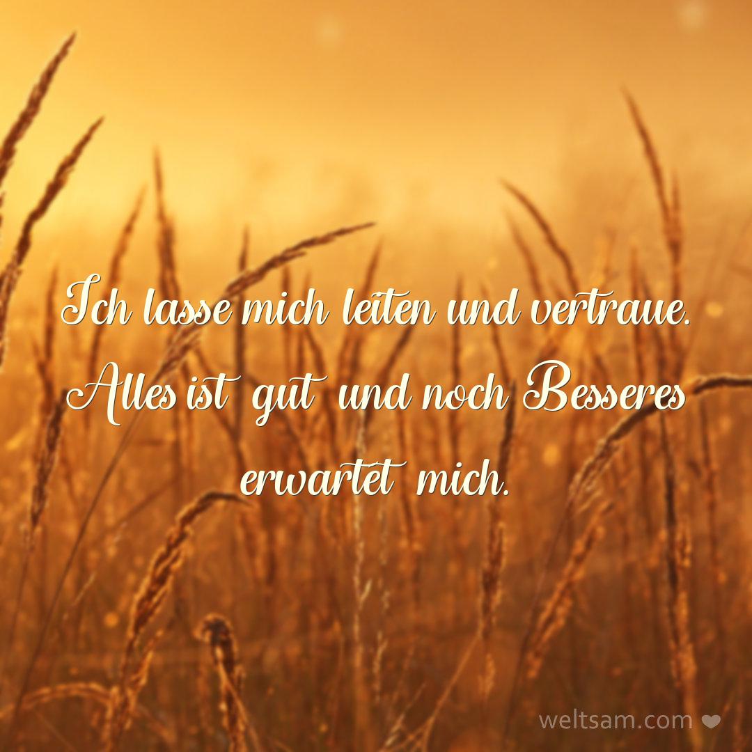 Ich lasse mich leiten und vertraue. Alles ist gut und noch Besseres erwartet mich.