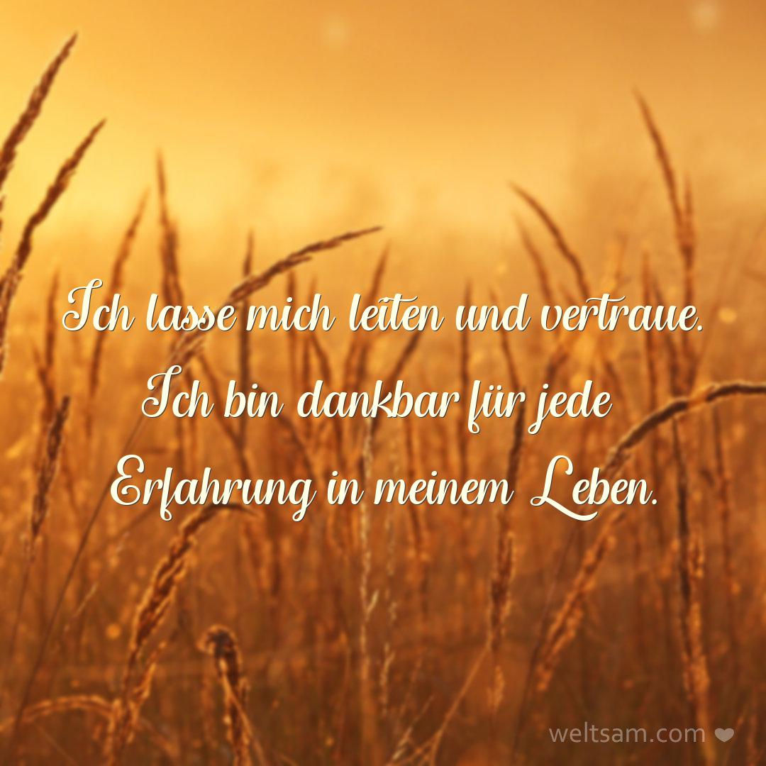 Ich lasse mich leiten und vertraue. Ich bin dankbar für jede Erfahrung in meinem Leben.