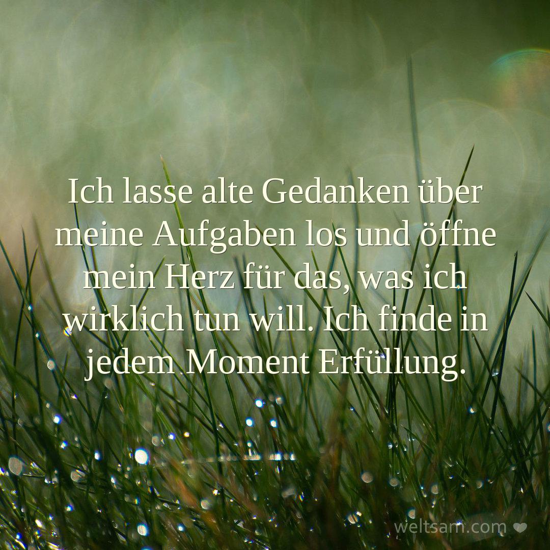 Ich lasse alte Gedanken über meine Aufgaben los und öffne mein Herz für das, was ich wirklich tun will. Ich finde in jedem Moment Erfüllung.