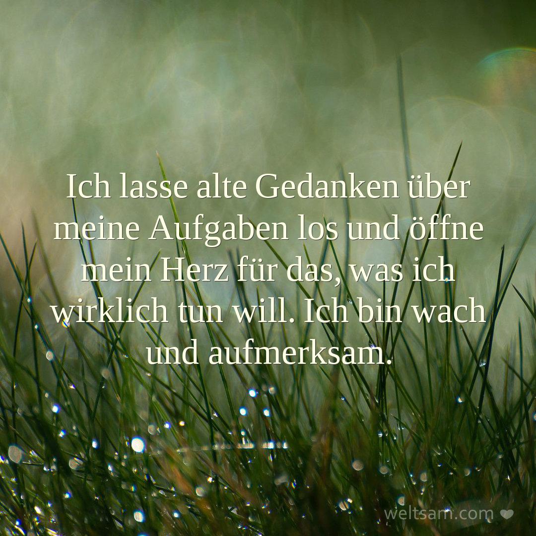 Ich lasse alte Gedanken über meine Aufgaben los und öffne mein Herz für das, was ich wirklich tun will. Ich bin wach und aufmerksam.
