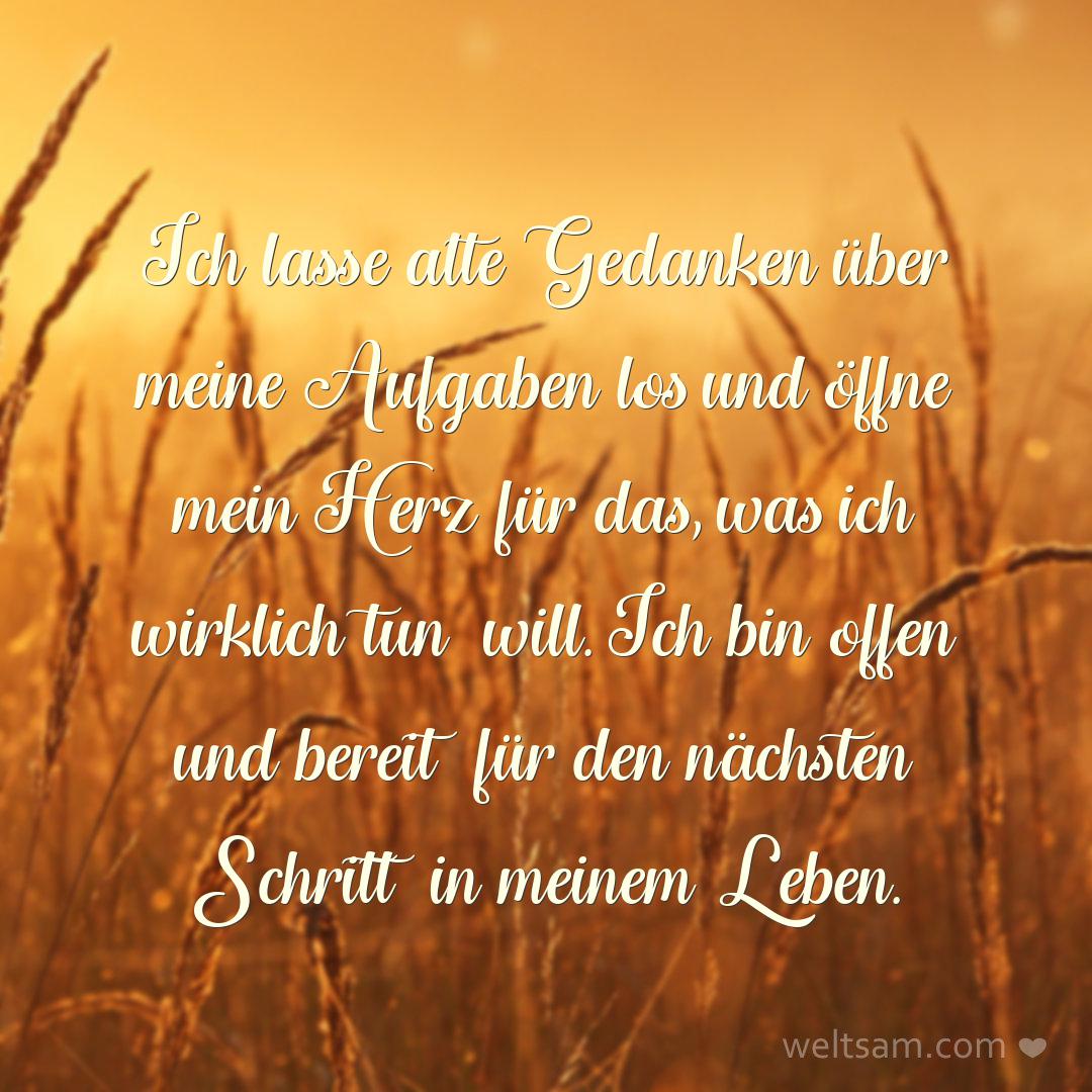 Ich lasse alte Gedanken über meine Aufgaben los und öffne mein Herz für das, was ich wirklich tun will. Ich bin offen und bereit für den nächsten Schritt in meinem Leben.