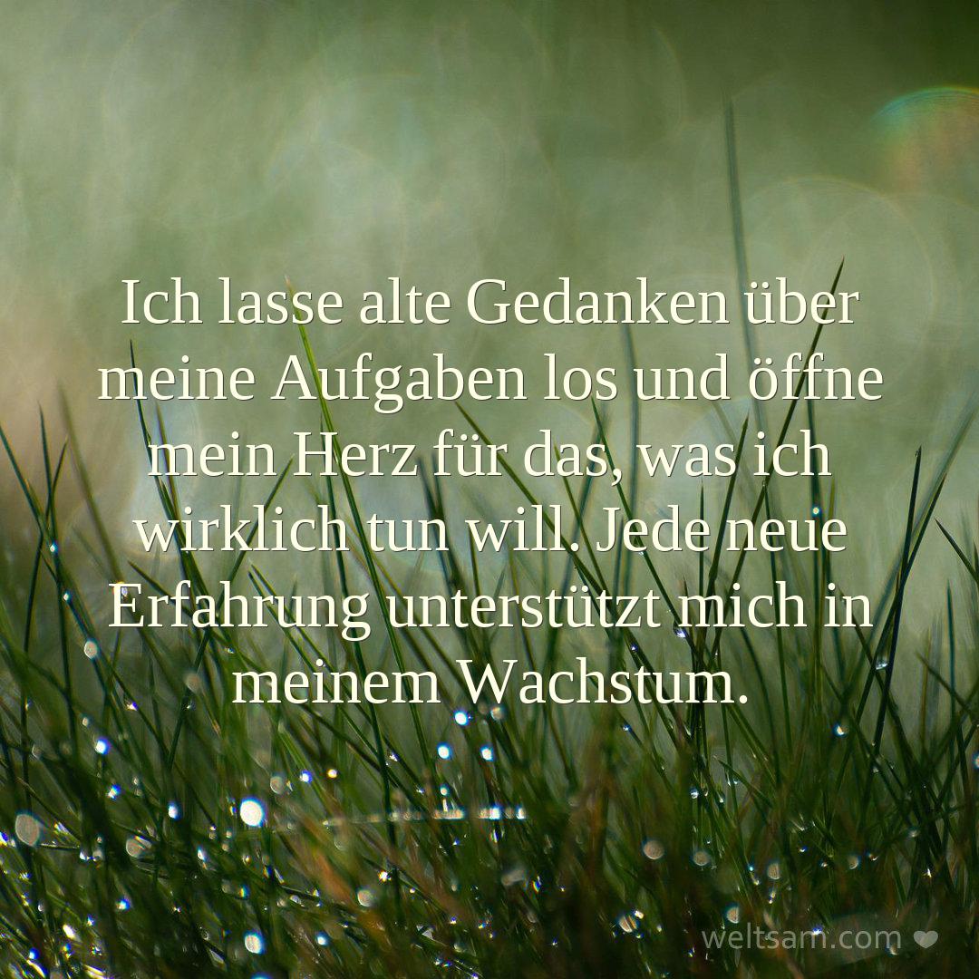 Ich lasse alte Gedanken über meine Aufgaben los und öffne mein Herz für das, was ich wirklich tun will. Jede neue Erfahrung unterstützt mich in meinem Wachstum.