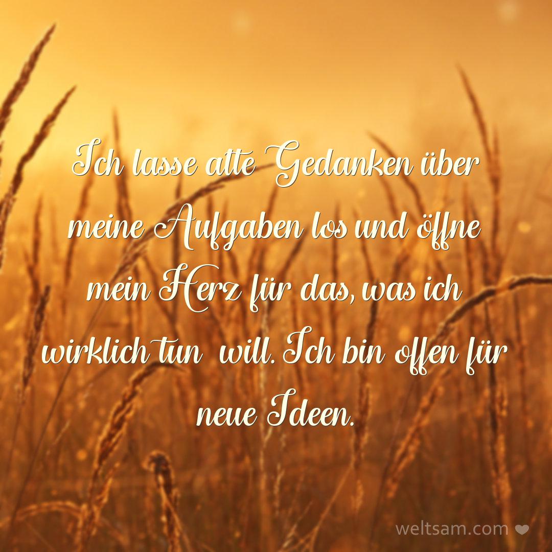 Ich lasse alte Gedanken über meine Aufgaben los und öffne mein Herz für das, was ich wirklich tun will. Ich bin offen für neue Ideen.