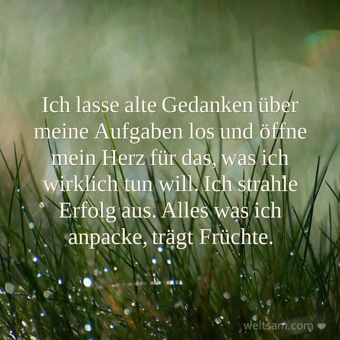 Ich lasse alte Gedanken über meine Aufgaben los und öffne mein Herz für das, was ich wirklich tun will. Ich strahle Erfolg aus. Alles was ich anpacke, trägt Früchte.