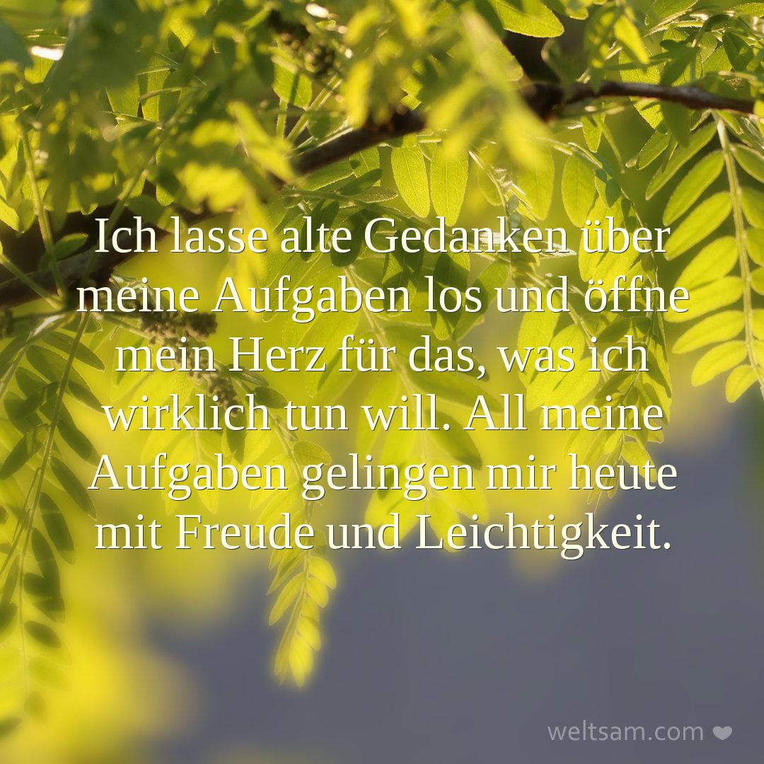 Ich lasse alte Gedanken über meine Aufgaben los und öffne mein Herz für das, was ich wirklich tun will. All meine Aufgaben gelingen mir heute mit Freude und Leichtigkeit.