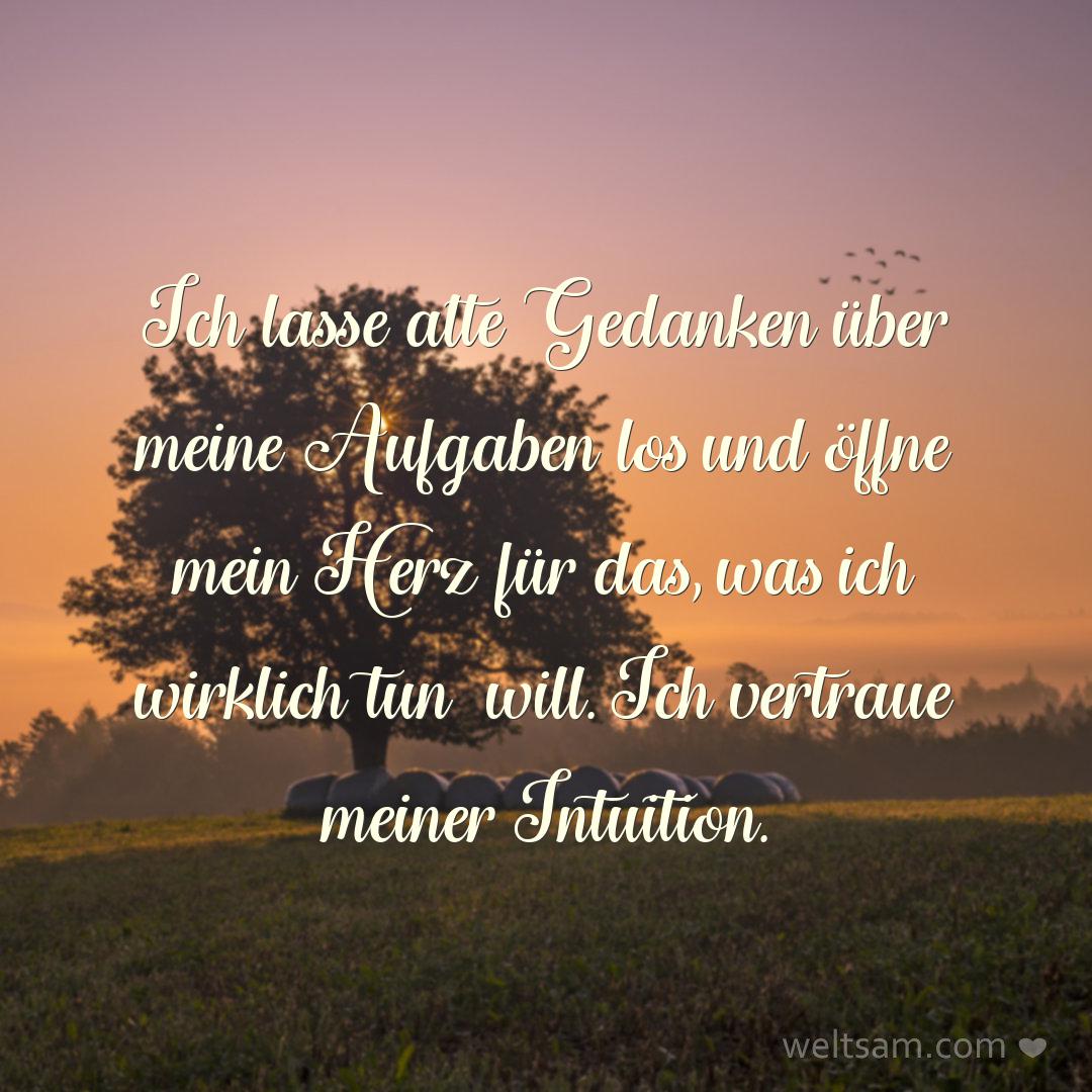 Ich lasse alte Gedanken über meine Aufgaben los und öffne mein Herz für das, was ich wirklich tun will. Ich vertraue meiner Intuition.