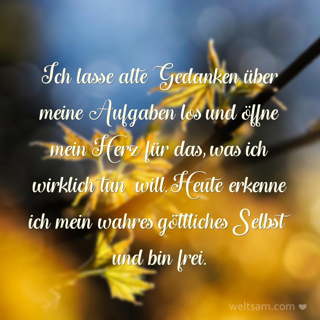 Ich lasse alte Gedanken über meine Aufgaben los und öffne mein Herz für das, was ich wirklich tun will. Heute erkenne ich mein wahres göttliches Selbst und bin frei.