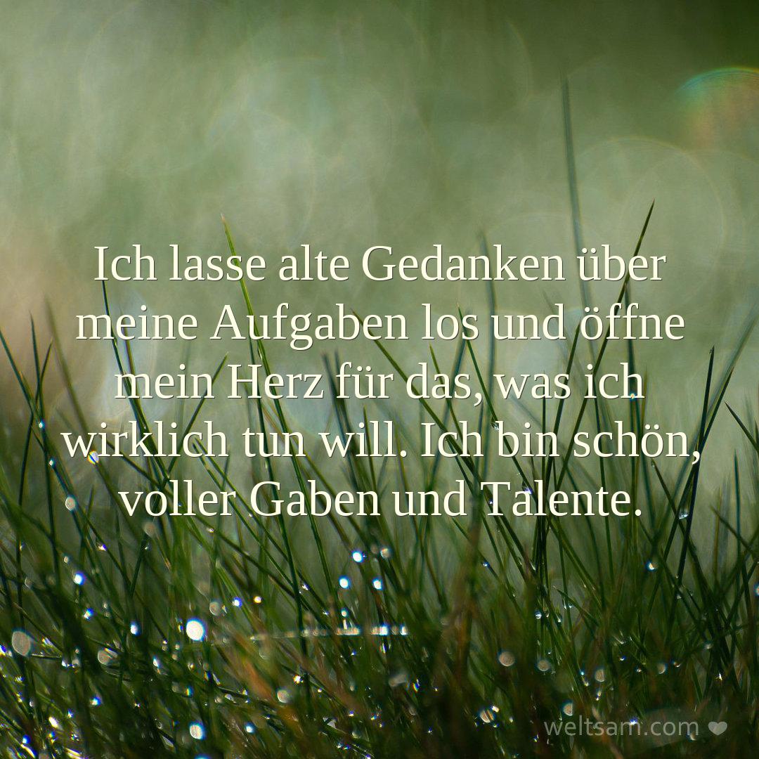 Ich lasse alte Gedanken über meine Aufgaben los und öffne mein Herz für das, was ich wirklich tun will. Ich bin schön, voller Gaben und Talente.