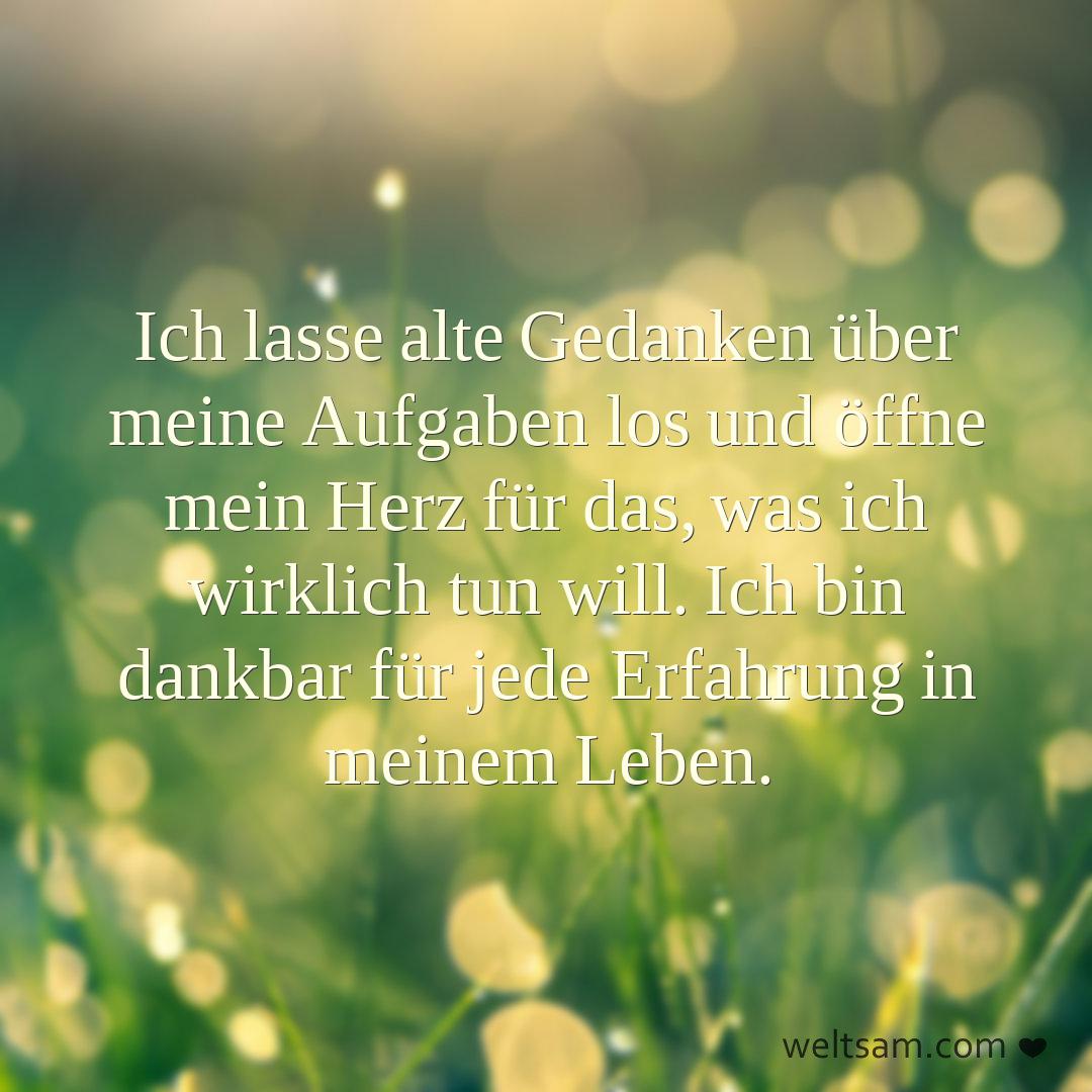 Ich lasse alte Gedanken über meine Aufgaben los und öffne mein Herz für das, was ich wirklich tun will. Ich bin dankbar für jede Erfahrung in meinem Leben.