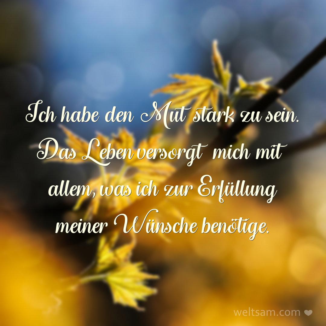 Ich habe den Mut stark zu sein. Das Leben versorgt mich mit allem, was ich zur Erfüllung meiner Wünsche benötige.