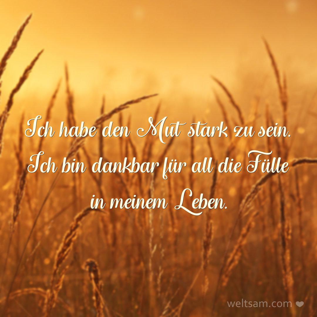Ich habe den Mut stark zu sein. Ich bin dankbar für all die Fülle in meinem Leben.