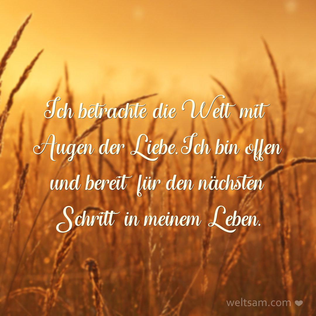 Ich betrachte die Welt mit Augen der Liebe. Ich bin offen und bereit für den nächsten Schritt in meinem Leben.