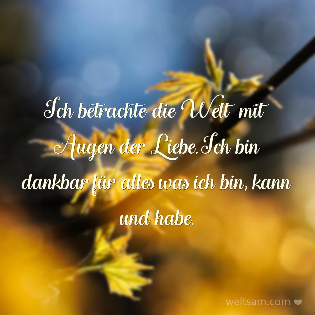 Ich betrachte die Welt mit Augen der Liebe. Ich bin dankbar für alles was ich bin, kann und habe.