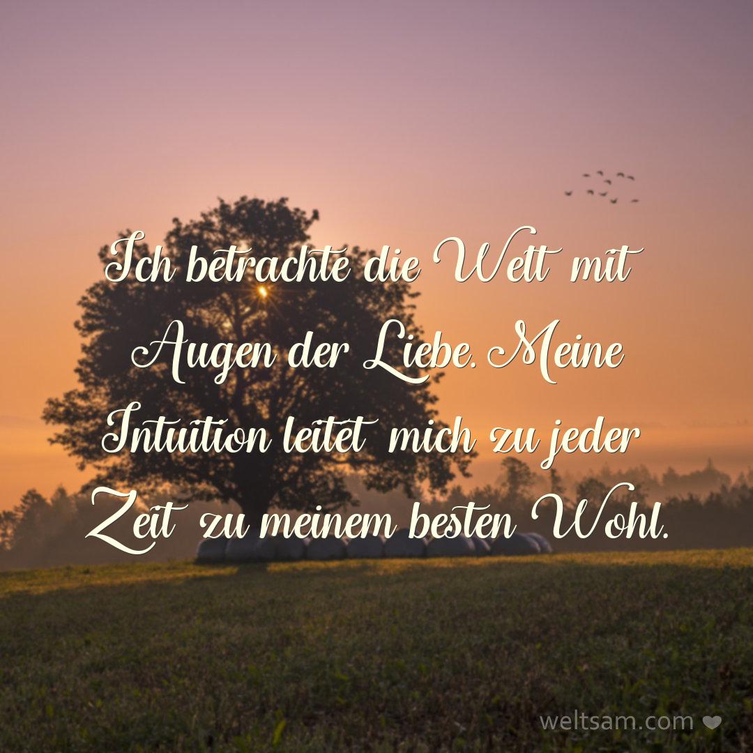 Ich betrachte die Welt mit Augen der Liebe. Meine Intuition leitet mich zu jeder Zeit zu meinem besten Wohl.