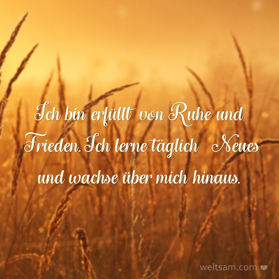 Ich bin erfüllt von Ruhe und Frieden. Ich lerne täglich Neues und wachse über mich hinaus.