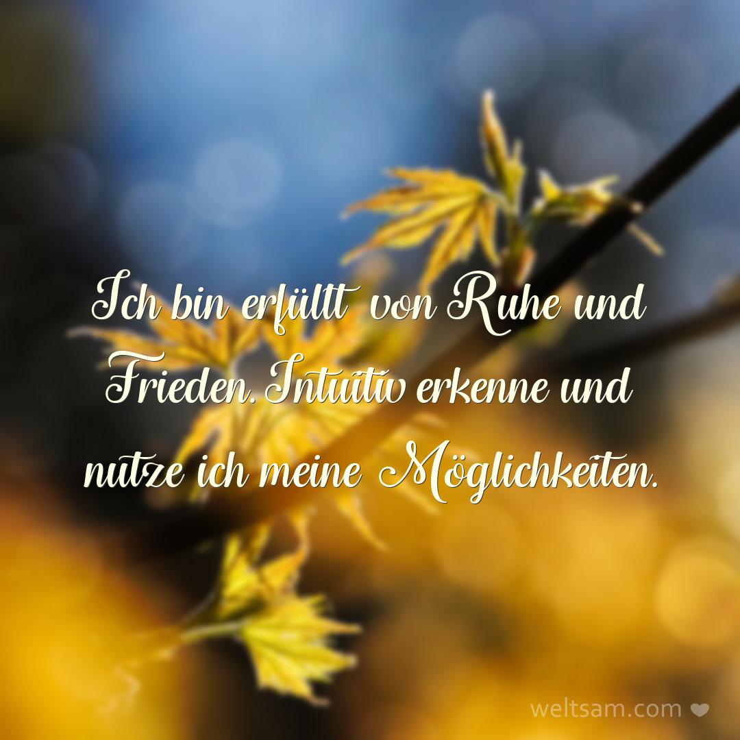 Ich bin erfüllt von Ruhe und Frieden. Intuitiv erkenne und nutze ich meine Möglichkeiten.
