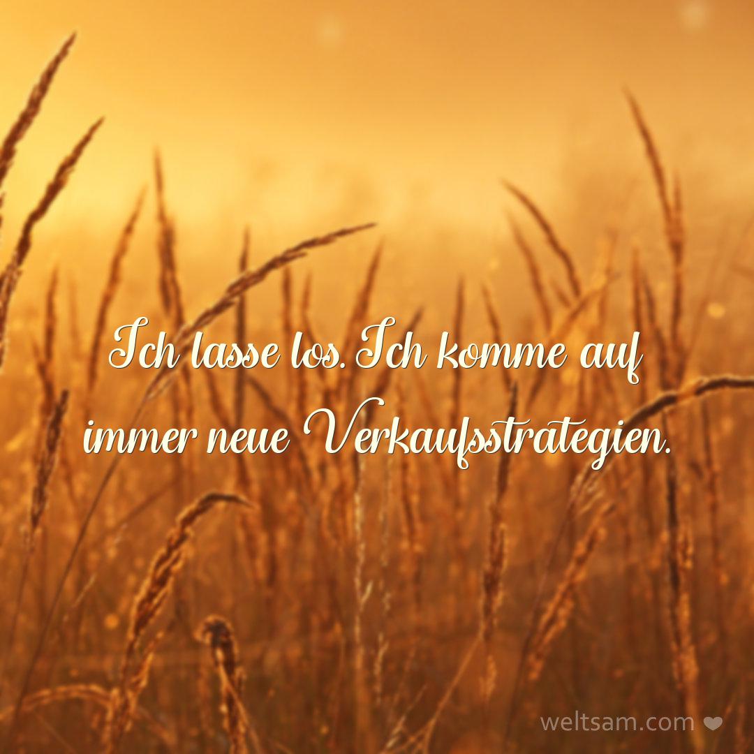 Ich lasse los. Ich komme auf immer neue Verkaufsstrategien.