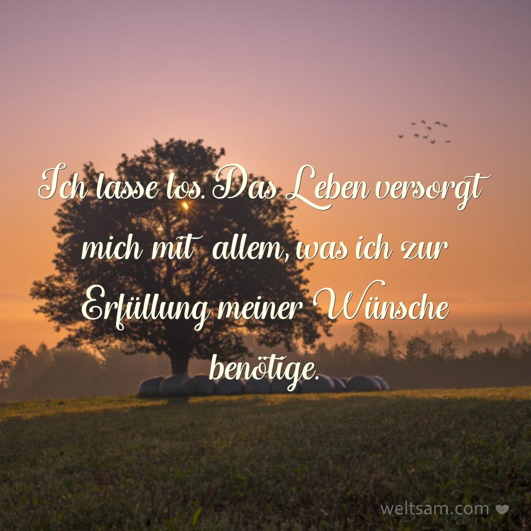 Ich lasse los. Das Leben versorgt mich mit allem, was ich zur Erfüllung meiner Wünsche benötige.