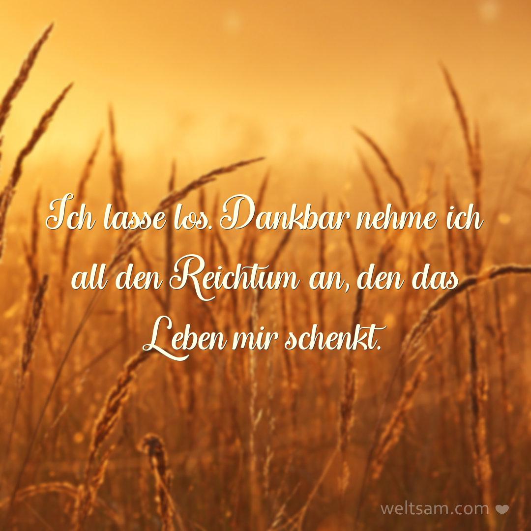 Ich lasse los. Dankbar nehme ich all den Reichtum an, den das Leben mir schenkt.