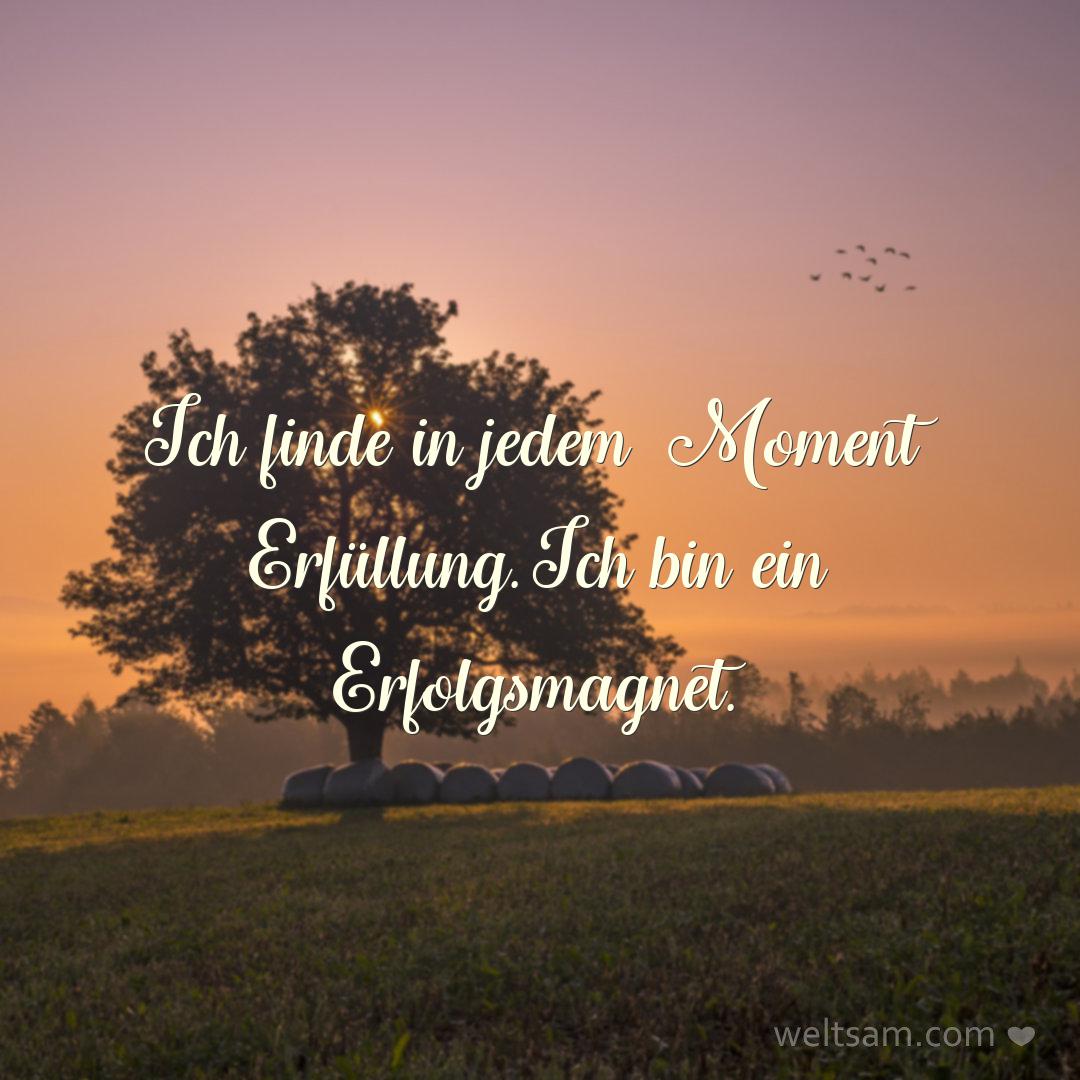 Ich finde in jedem Moment Erfüllung. Ich bin ein Erfolgsmagnet.
