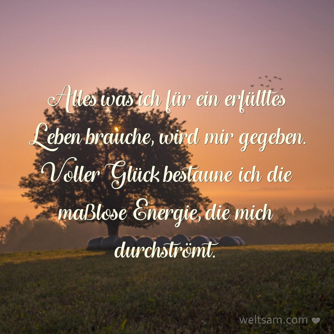 Alles was ich für ein erfülltes Leben brauche, wird mir gegeben. Voller Glück bestaune ich die maßlose Energie, die mich durchströmt.