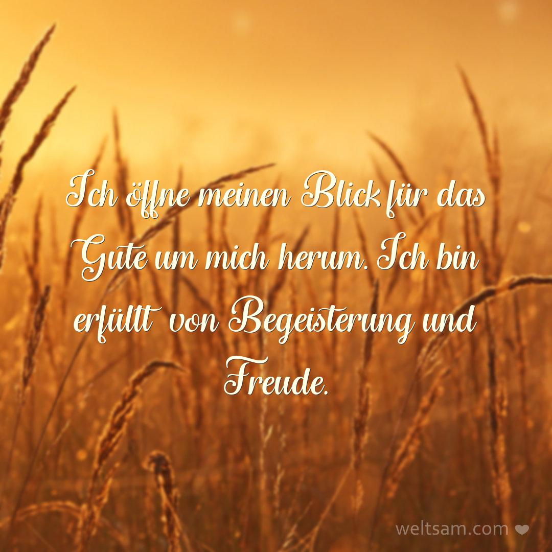Ich öffne meinen Blick für das Gute um mich herum. Ich bin erfüllt von Begeisterung und Freude.