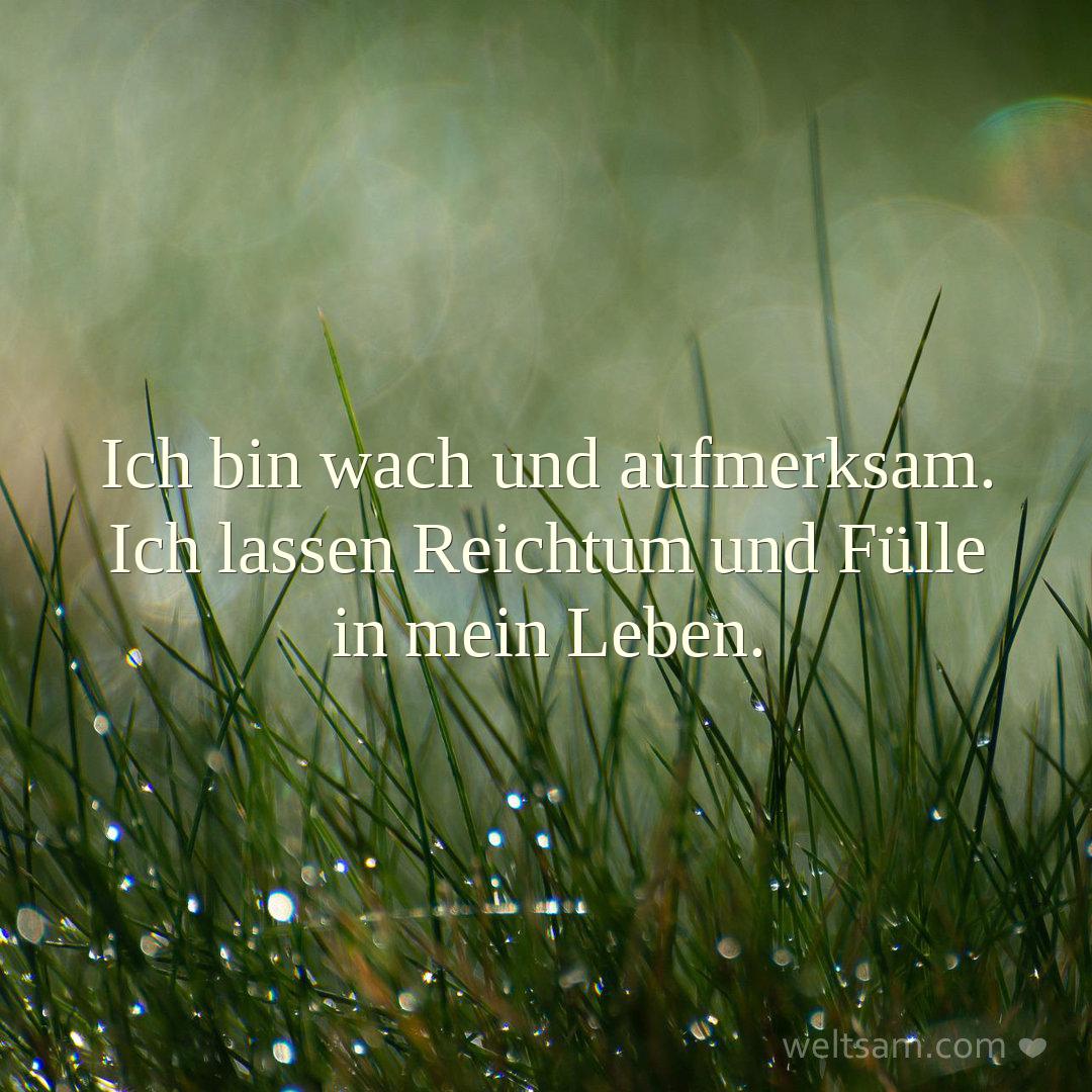 Ich bin wach und aufmerksam. Ich lassen Reichtum und Fülle in mein Leben.