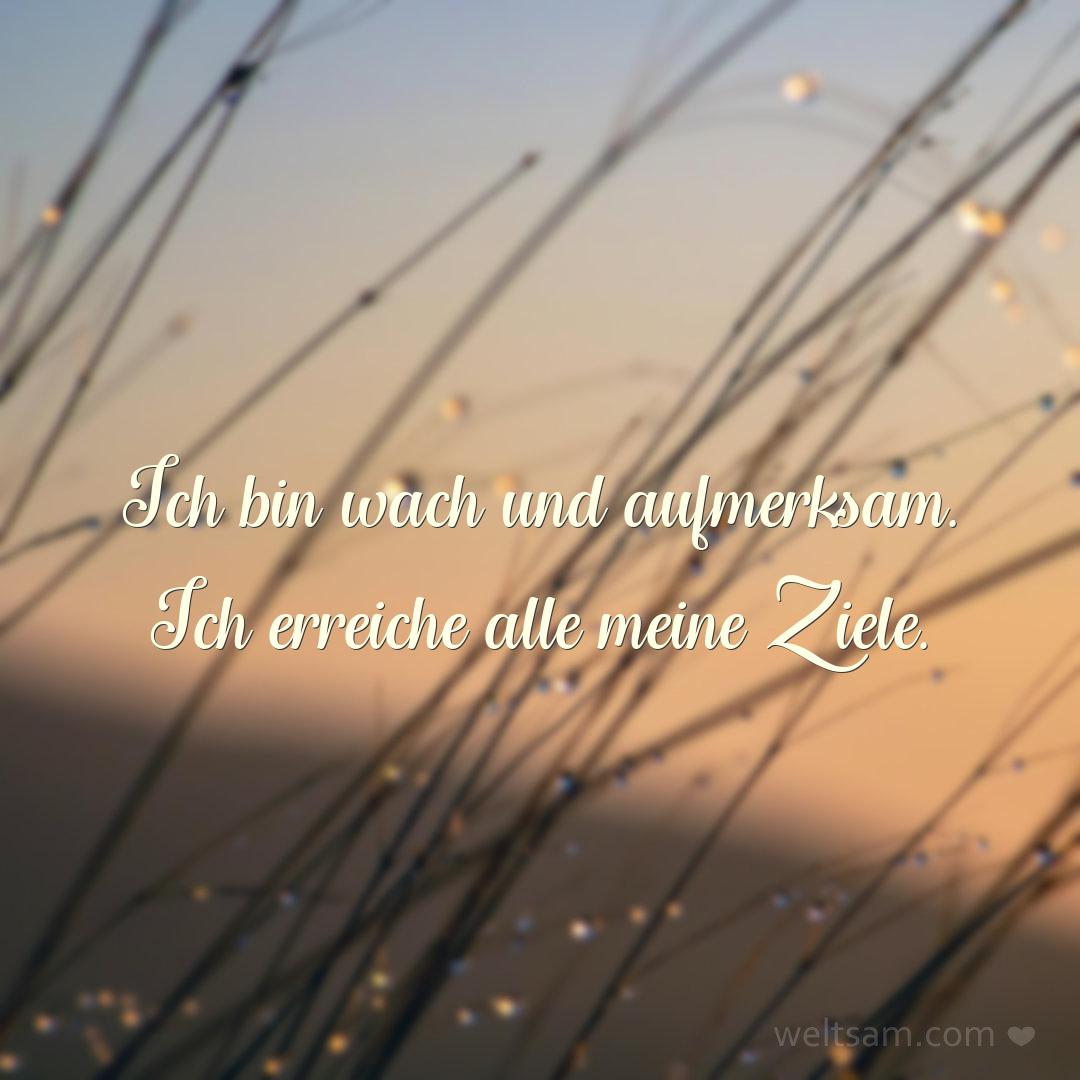 Ich bin wach und aufmerksam. Ich erreiche alle meine Ziele.