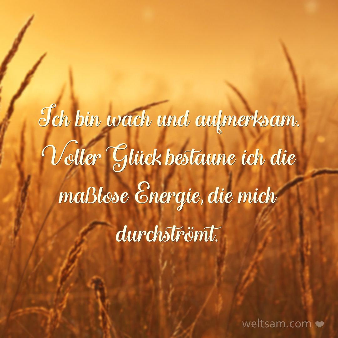 Ich bin wach und aufmerksam. Voller Glück bestaune ich die maßlose Energie, die mich durchströmt.