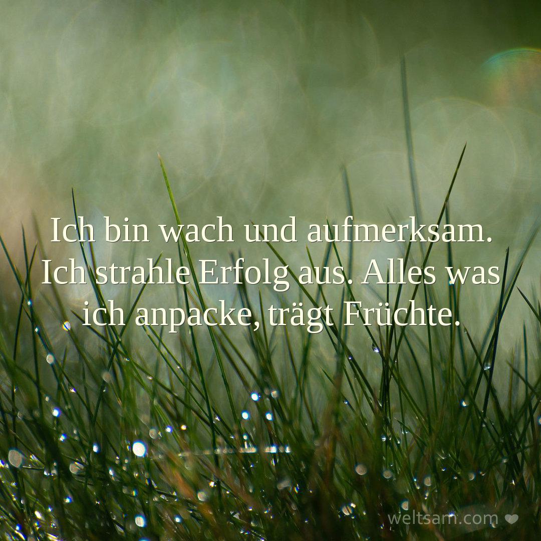 Ich bin wach und aufmerksam. Ich strahle Erfolg aus. Alles was ich anpacke, trägt Früchte.