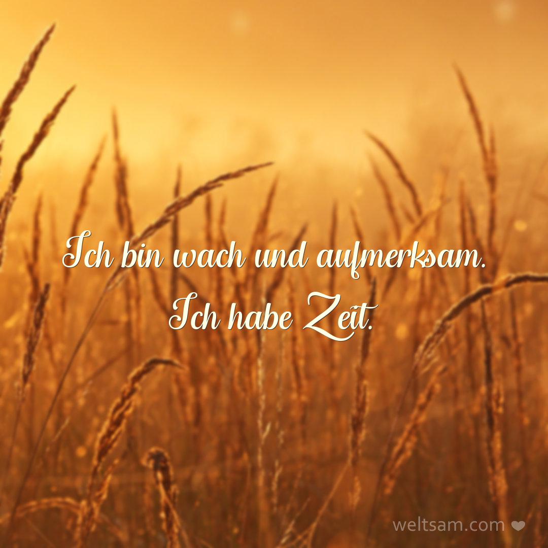 Ich bin wach und aufmerksam. Ich habe Zeit.