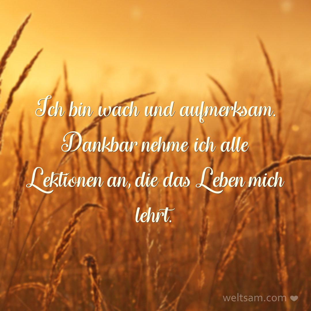 Ich bin wach und aufmerksam. Dankbar nehme ich alle Lektionen an, die das Leben mich lehrt.