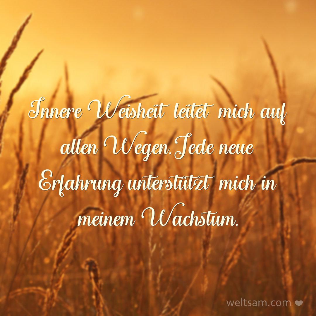 Innere Weisheit leitet mich auf allen Wegen. Jede neue Erfahrung unterstützt mich in meinem Wachstum.