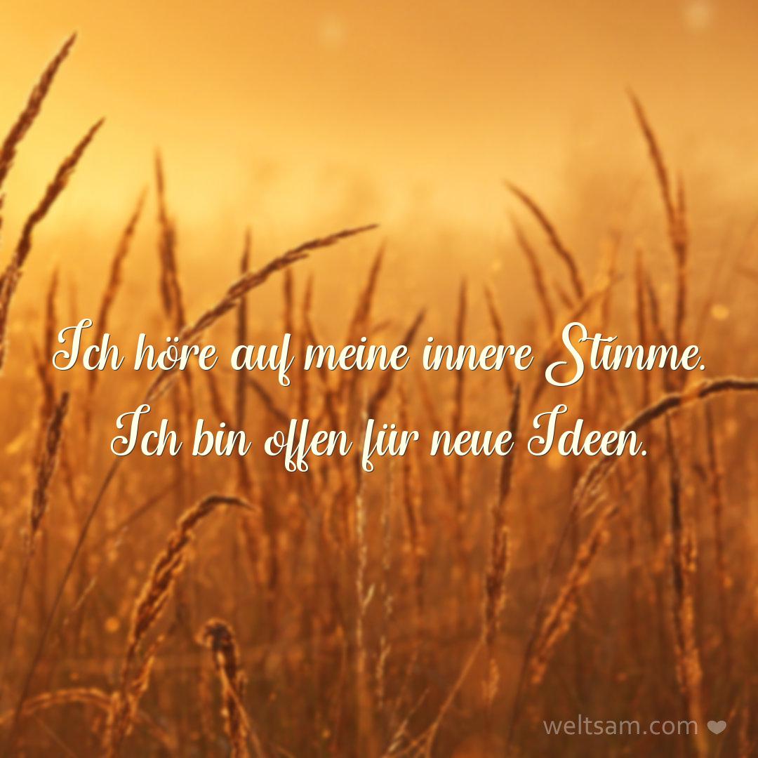 Ich höre auf meine innere Stimme. Ich bin offen für neue Ideen.