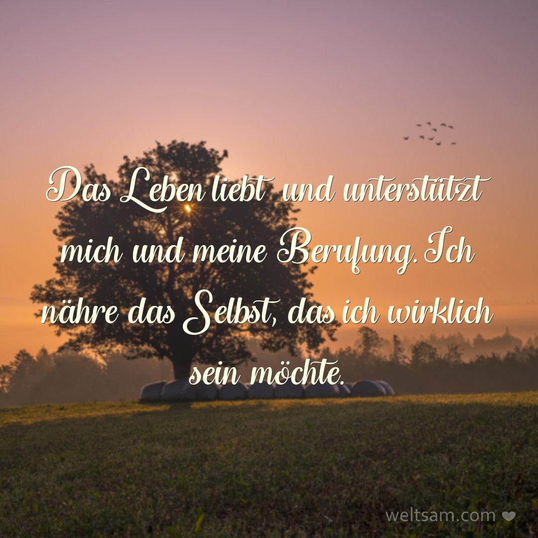 Das Leben liebt und unterstützt mich und meine Berufung. Ich nähre das Selbst, das ich wirklich sein möchte.