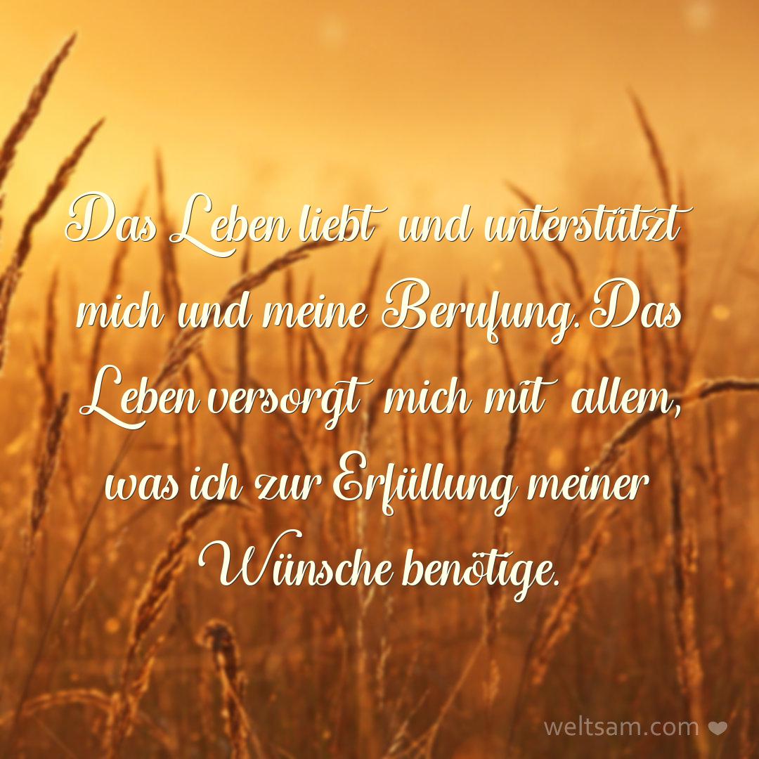 Das Leben liebt und unterstützt mich und meine Berufung. Das Leben versorgt mich mit allem, was ich zur Erfüllung meiner Wünsche benötige.