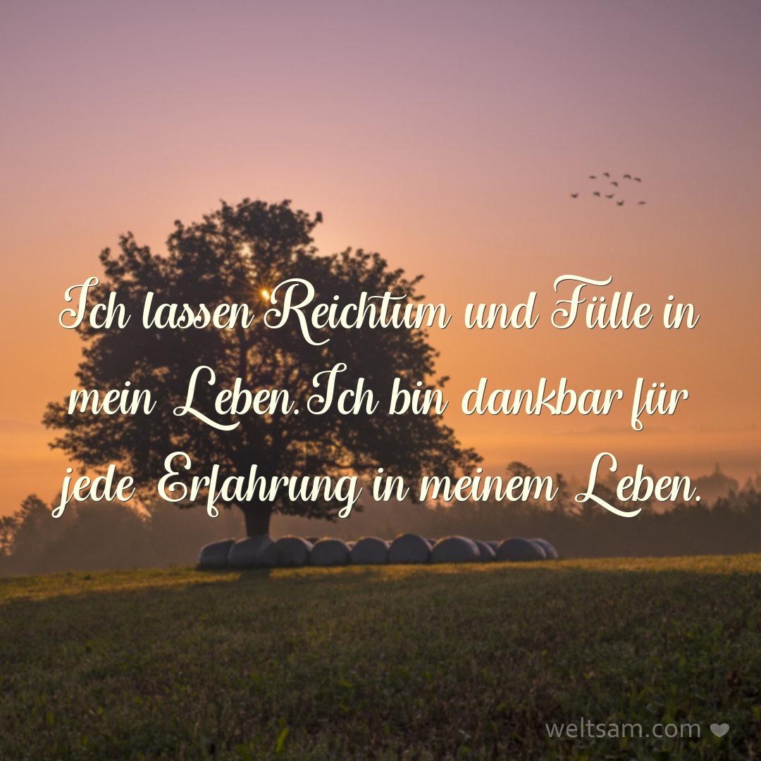 Ich lassen Reichtum und Fülle in mein Leben. Ich bin dankbar für jede Erfahrung in meinem Leben.