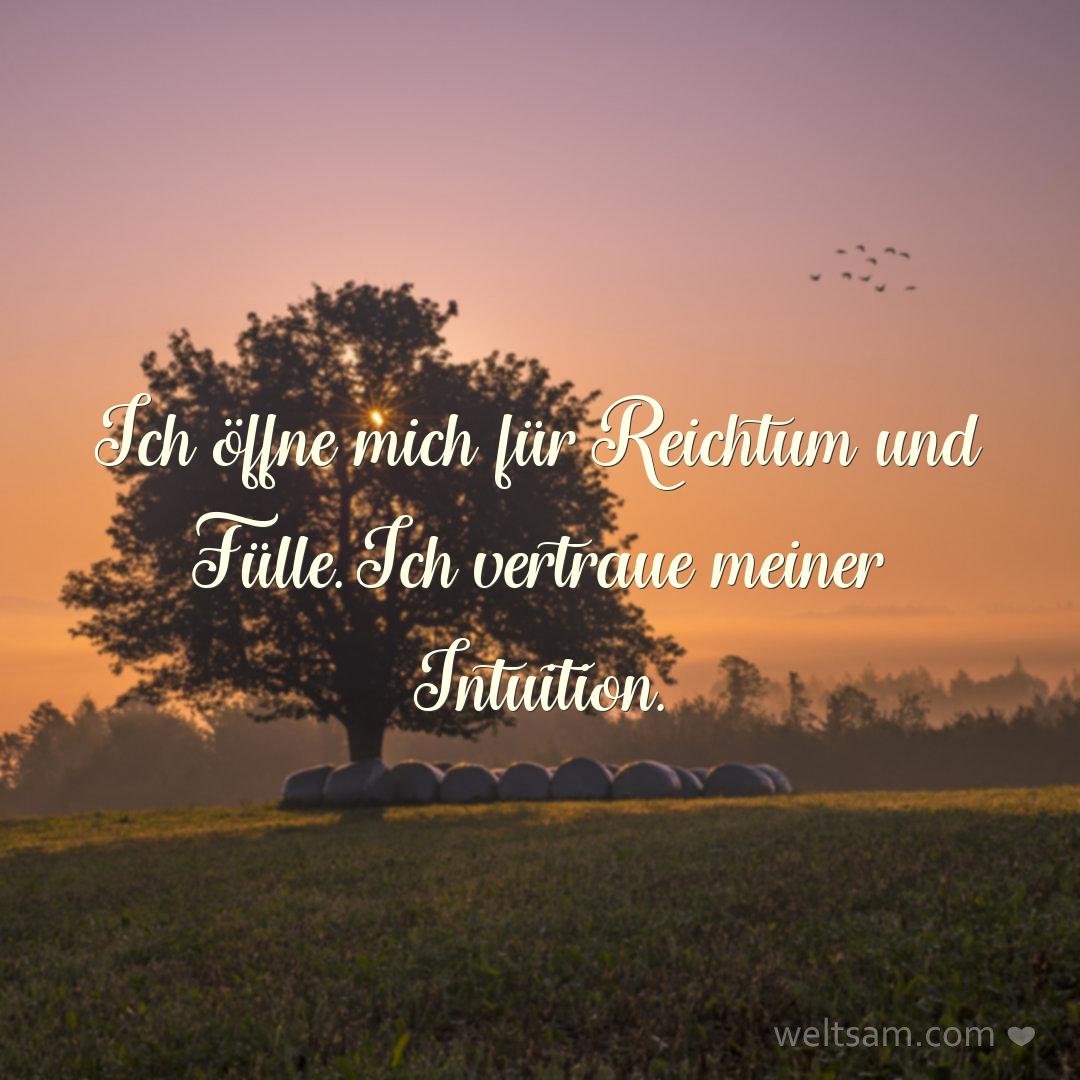 Ich öffne mich für Reichtum und Fülle. Ich vertraue meiner Intuition.