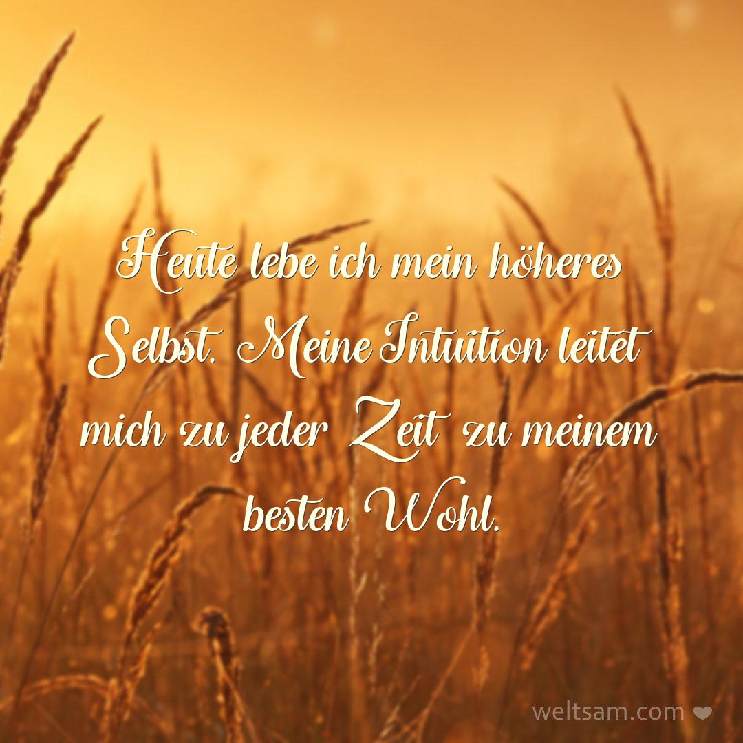 Heute lebe ich mein höheres Selbst. Meine Intuition leitet mich zu jeder Zeit zu meinem besten Wohl.