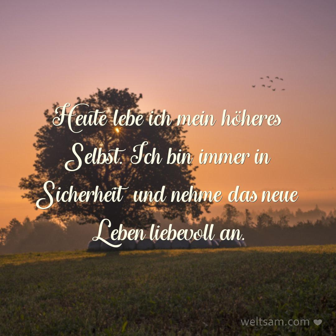 Heute lebe ich mein höheres Selbst. Ich bin immer in Sicherheit und nehme das neue Leben liebevoll an.