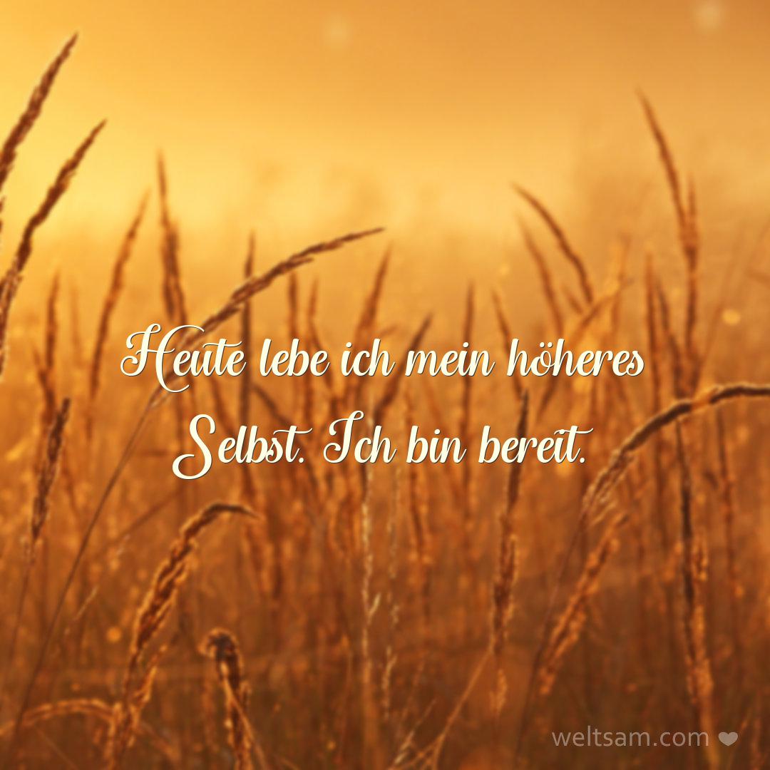 Heute lebe ich mein höheres Selbst. Ich bin bereit.