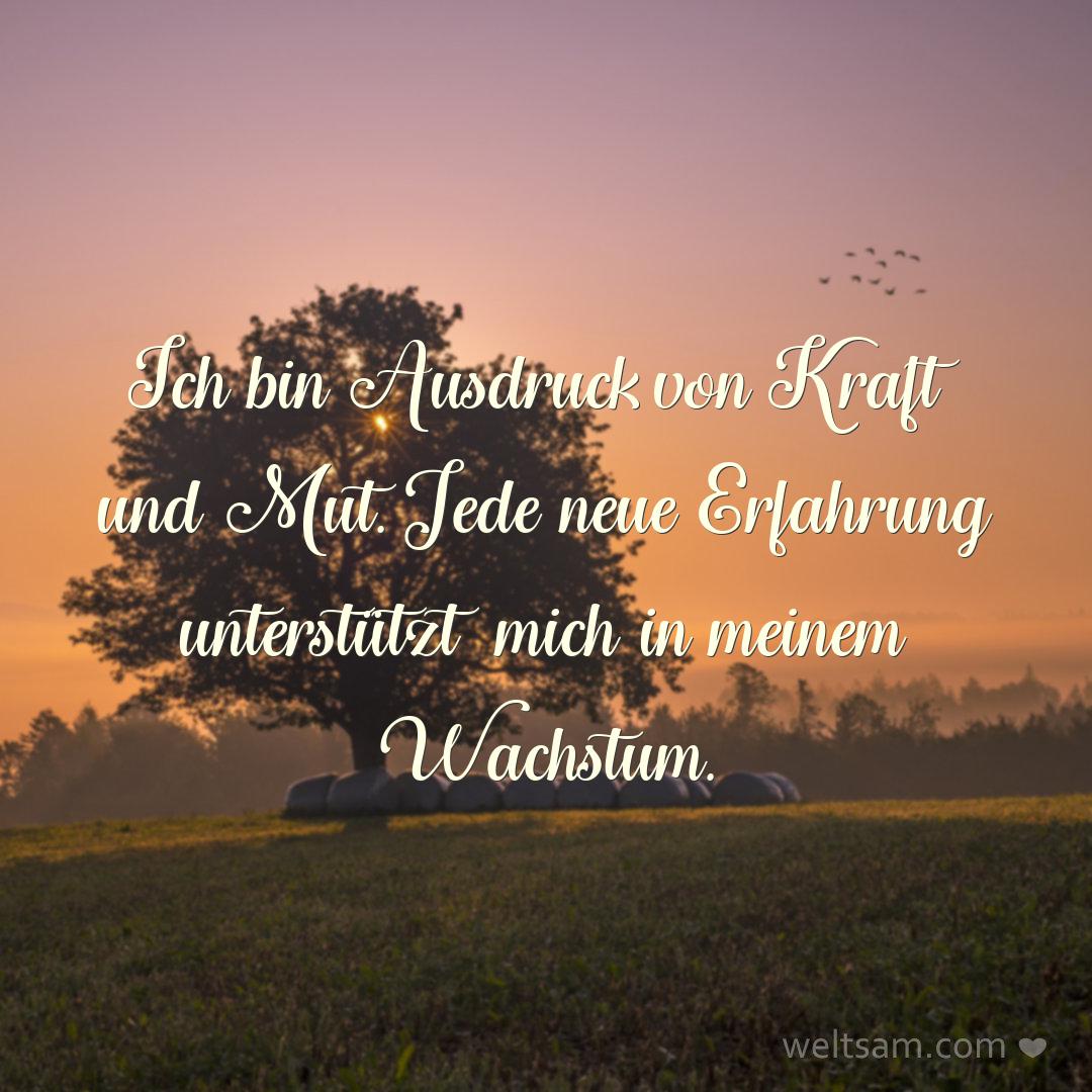 Ich bin Ausdruck von Kraft und Mut. Jede neue Erfahrung unterstützt mich in meinem Wachstum.