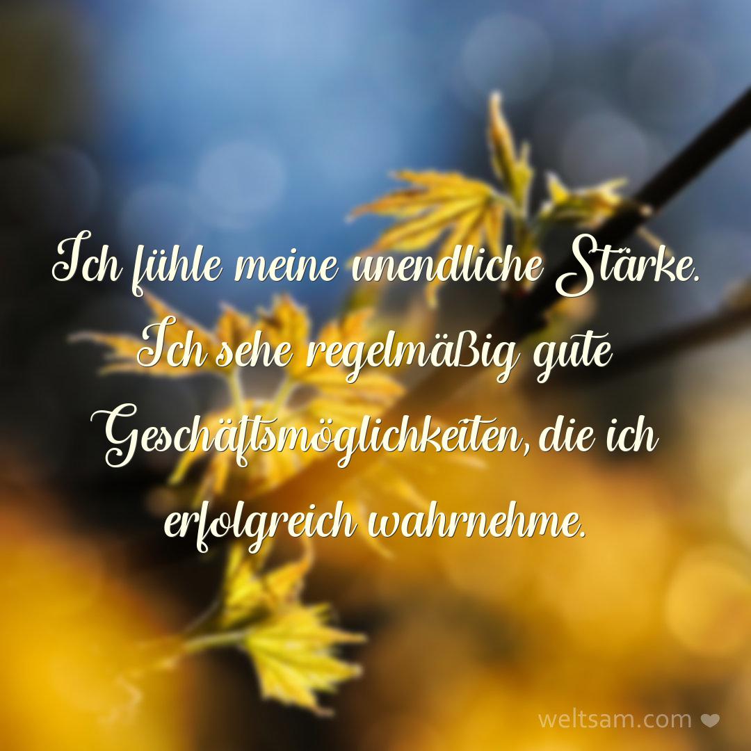 Ich fühle meine unendliche Stärke. Ich sehe regelmäßig gute Geschäftsmöglichkeiten, die ich erfolgreich wahrnehme.